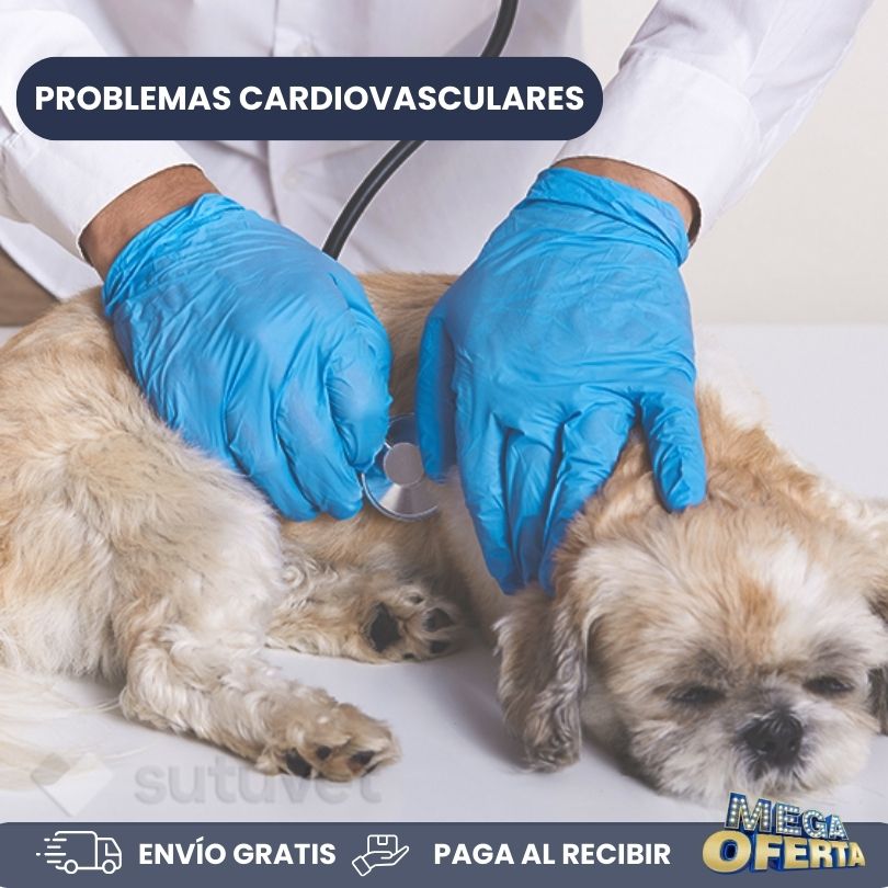 Complemento para perros - Breathe - Mejora las funciones respiratorias y cardiovasculares