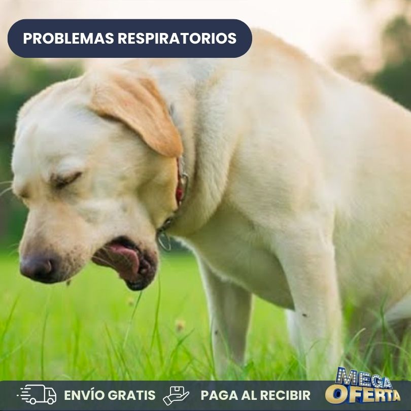 Complemento para perros - Breathe - Mejora las funciones respiratorias y cardiovasculares