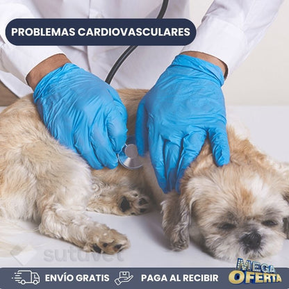 Complemento para perros - Breathe - Mejora las funciones respiratorias y cardiovasculares