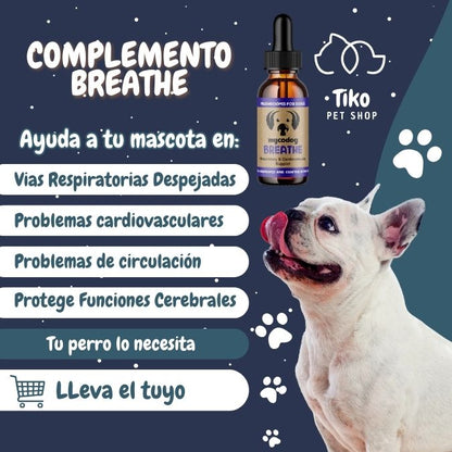 Complemento para perros - Breathe - Mejora las funciones respiratorias y cardiovasculares